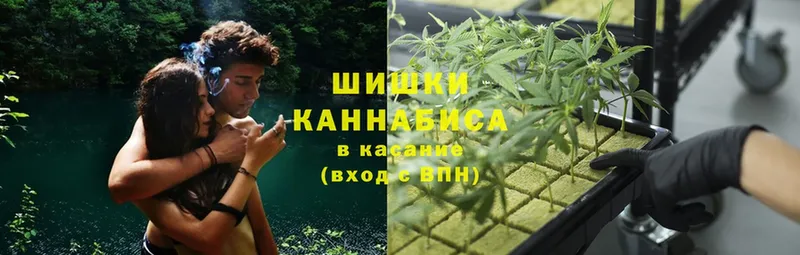 Марихуана White Widow  нарко площадка клад  Приволжск 